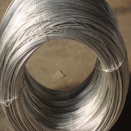 Black Annealed Wire - Sino East Steel